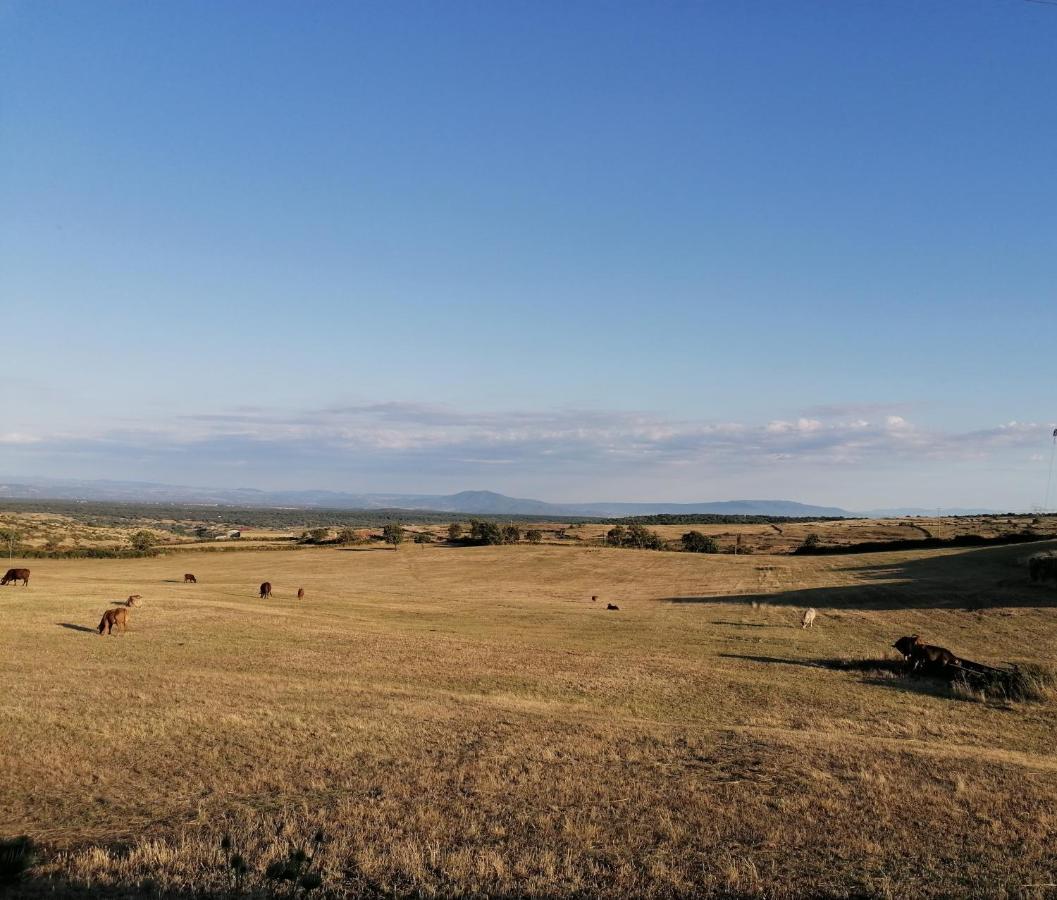 Bed and Breakfast Deiana Санту-Луссурджу Экстерьер фото